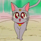 Illustration for article titled A Filler-Reduced Viewing Guide to iSailor Moon/is Final Season
